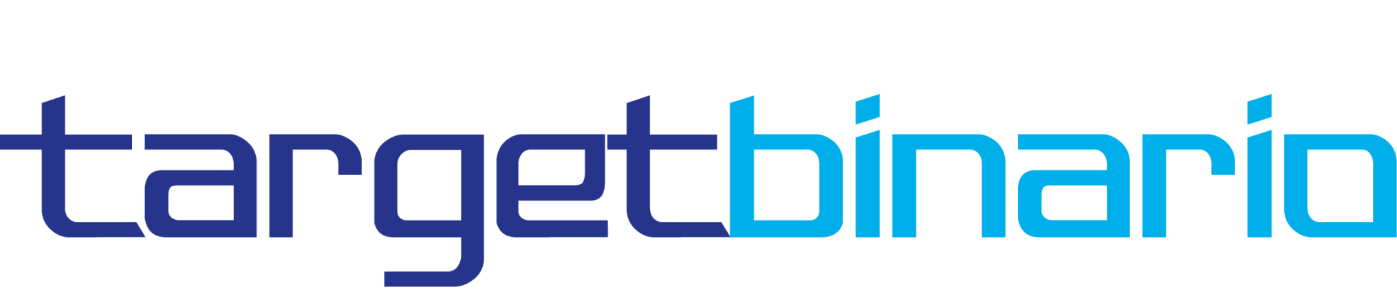 TARGET BINARIO LOGO B